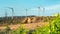 Windmills, turbines of electric generators. Green bush plants in the foreground. High-voltage power lines. The concept