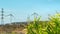 Windmills, turbines of electric generators. Green bush plants in the foreground. High-voltage power lines. The concept