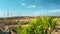 Windmills, turbines of electric generators. Green bush plants in the foreground. High-voltage power lines. The concept