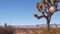 Windmills on wind farm, wind mill energy generators. Desert windfarm, USA.