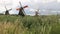 Windmills of Zaanse Schans, near Amsterdam. The structures were