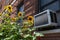 Window Air Conditioning Unit with Yellow Sunflowers in Astoria Queens New York during Summer