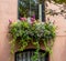 Window box in Brooklyn Heights, NY