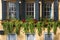 Window Boxes, Flowers, and Shutters in Charleston SC