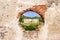 A window on the brick ruins of the Republic of Paulava,
