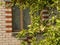 Window of brick summer house cowered with tree