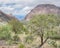 The Window, Chisos Mountains Basin, Big Bend National Park, TX