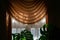 Window curtain and houseplant leaves