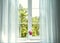 Window with curtains and flowers