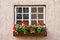Window decorated with Geranium flowers