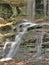 Window Falls at Hanging Rock State Park