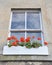 Window Flower Box