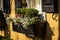 A window flower box full of blooming springtime flowers