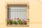 Window with flower pots