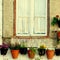 Window flower pots european village