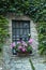 Window with flower. Window decorated with Geranium flowers.