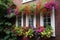 window garden overflowing with colorful blooms and greenery