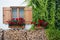 Window with geraniums on exterior wall