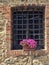 Window grate on rustic facade with flowers