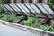 Window Greenhouse Boxes