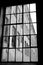 Window historical factory in black and white