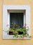 Window of a house with geraniums