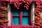 Window of house in the wall covered with red ivy