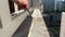 Window insulation process. Man applies spray foam on windowsill