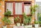 Window and many flower pots in old home