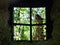 Window, nature and ruins