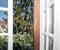 window in old castle with an impressive view over lilac and large fir tree