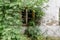 Window of an old uninhabited house