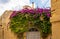 Window overgrown with lush Bougainvillea branches