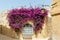 Window overgrown with lush Bougainvillea branches