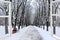 Window overlooking winter park. Panorama to snowy path in city park from room