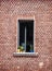 Window with potted flowers on the red brick wall