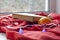 Window and red blanket, book, orange and garland with lights on the window sill