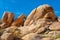 Window Rock in Joshua Tree