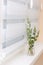 Window roller system, olive tree in glass vase, cozy concept