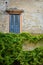 Window, Shutters and lush green climbing plant, Verona Italy