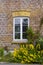 Window surrounded by vine leaves and yellow flowers