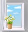 Window view in interior, spring, flower pot with flowers daisy and dandelions on windowsill, curtains. Vector