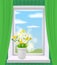 Window view in interior, spring, flower pot with flowers daisy and dandelions on windowsill, curtains. Vector