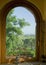 Window view with olive trees