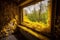window, with view of the outside world, covered in pollen and surrounded by nature