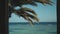 Window view to the sea, waves and palm tree , blue sky, slow motion.Blue sea and blue sky, horizon ,Egypt, Sinai, full