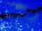 Window wave space orion nebula backgrounds