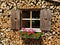 Window with wooden shutter and flower box in stack of wood billets