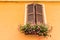 window with wooden shutters and geraniums