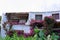 Windows and balconies with flowers in Porto Cervo